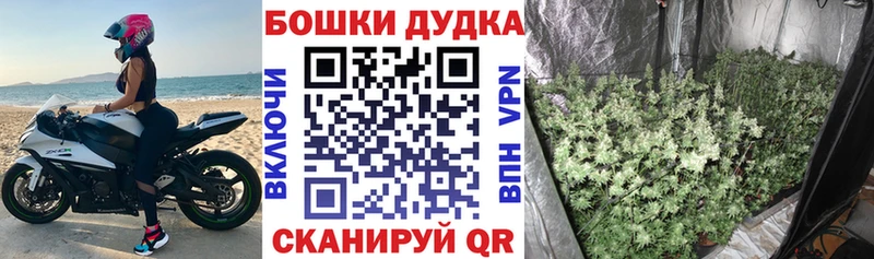 Магазины продажи наркотиков Новая Ладога Гашиш  МДМА  МЕФ  Марихуана  СОЛЬ 