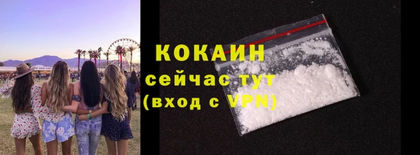 ешки Арсеньев