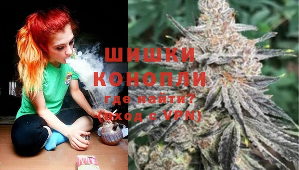 spice Армянск