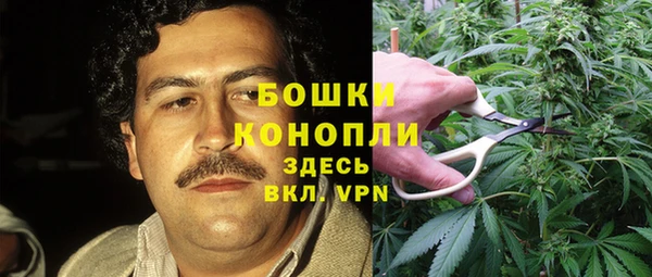 ешки Арсеньев