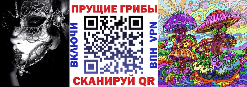Псилоцибиновые грибы ЛСД  Новая Ладога 